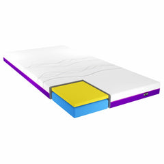 iCare IC333 Extra Long Premium Homecare Bed