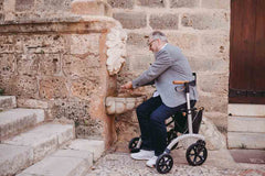 Saljol Aluminium Walker Rollator